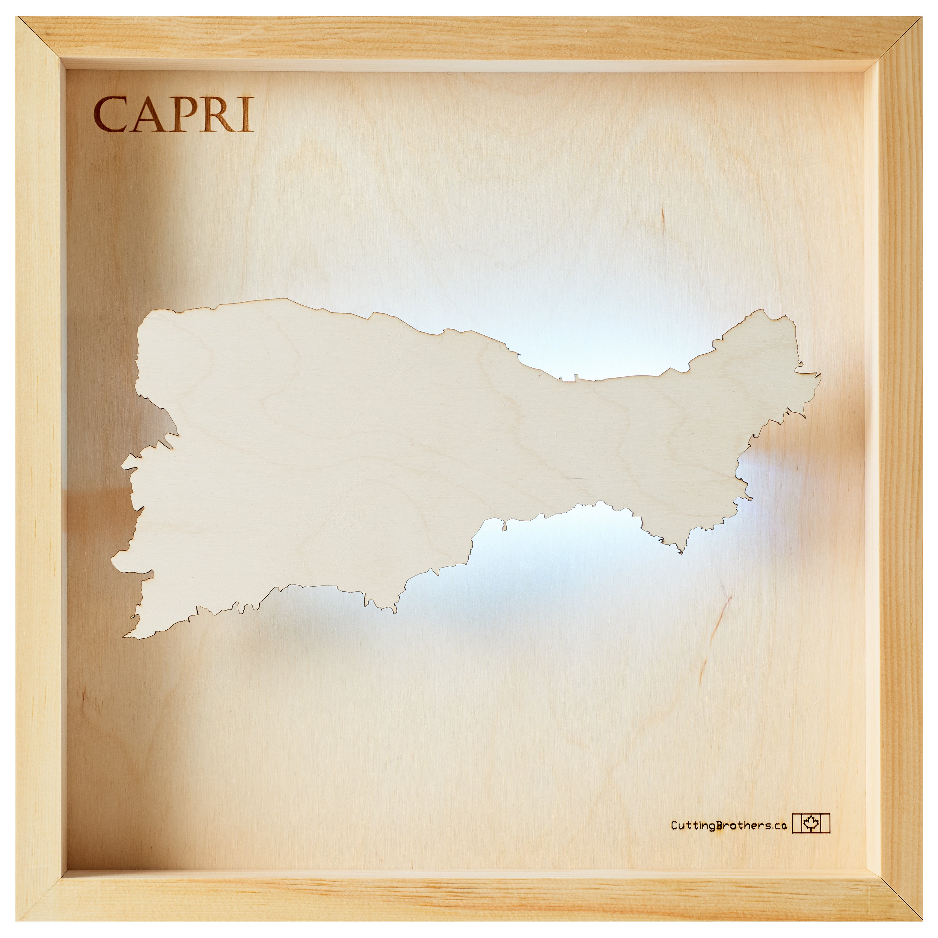 CAPRI  -  LED LIGHT WOODEN WALL MAP - Version S