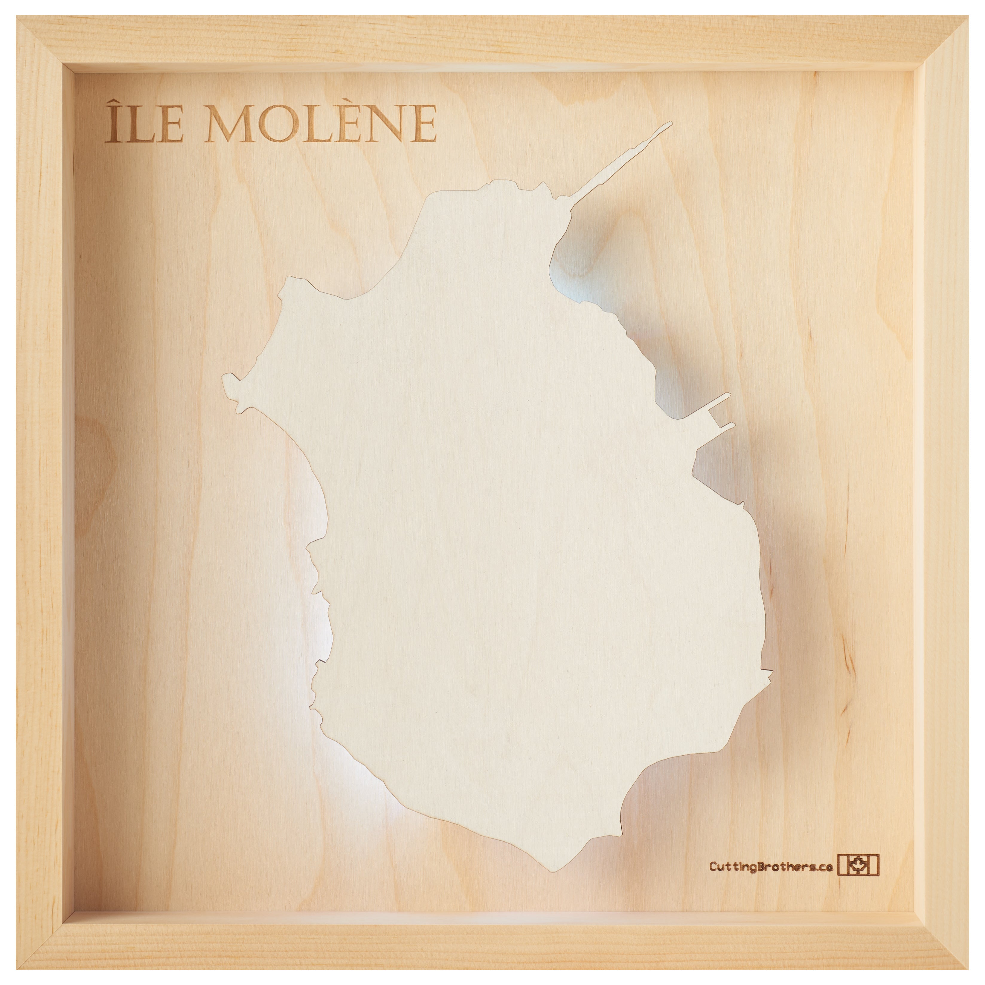 ILLE MOLENE  -  LED LIGHT WOODEN WALL MAP - Version S